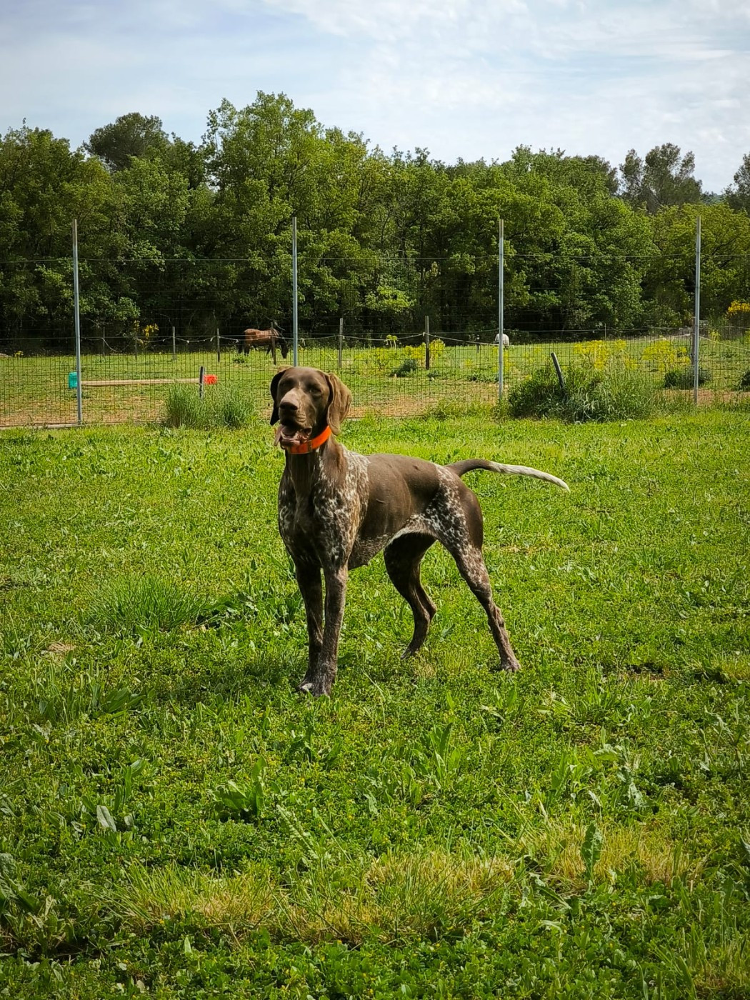 TESS Des Collines Rhodaniennes